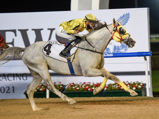 Dazzling races light up Gulf News night at Meydan in Dubai