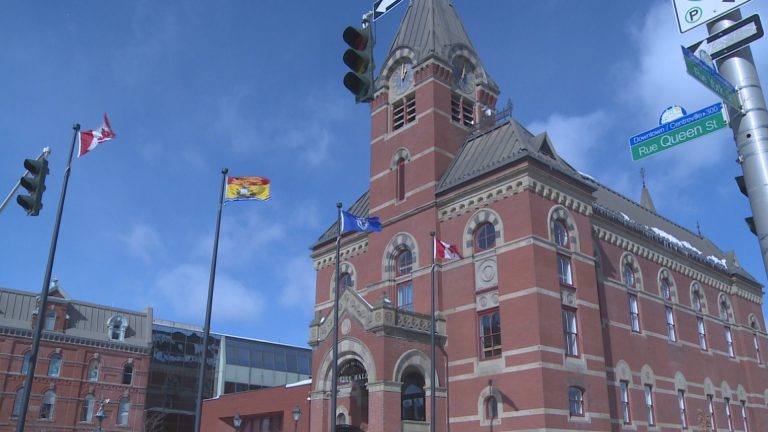 Group looks to boost gender diversity in Fredericton city hall