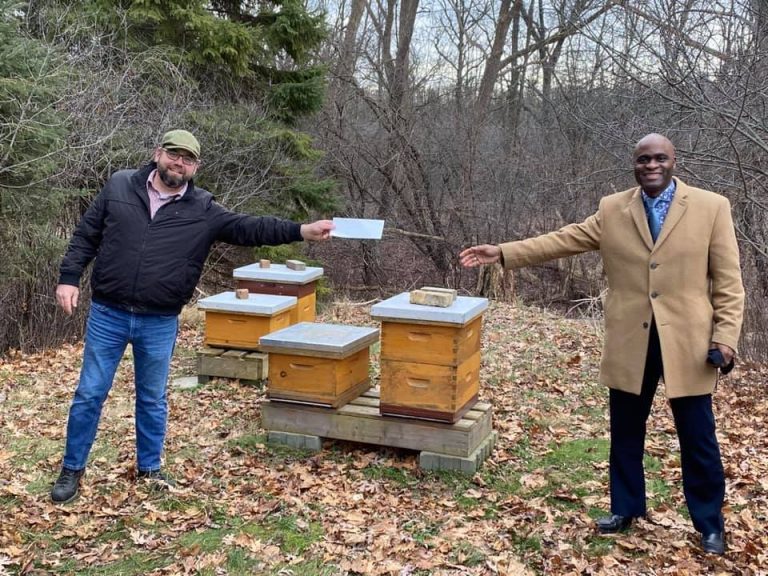 London, Ont., beekeeper gives $7,500 to non-profit following plentiful harvest