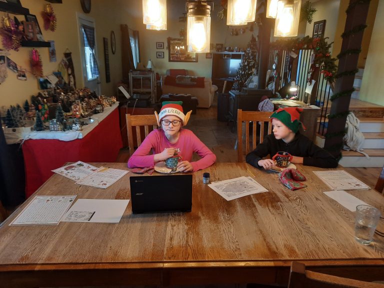 Some Sask. families may not be able to have virtual visits this holiday season