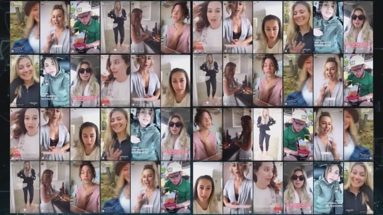 Fake brand ambassador offers targeting users on social media