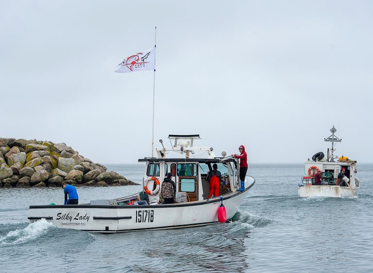 N.S. lobster fishing season underway, First Nation fishers to sit out