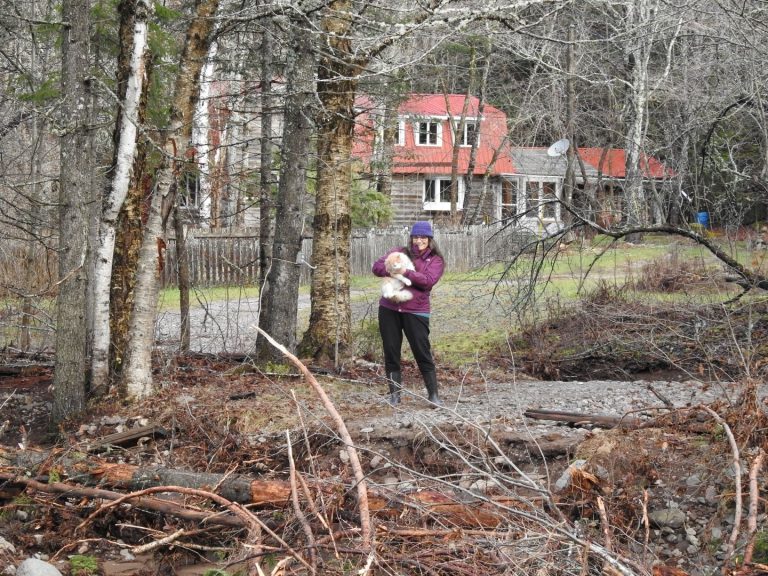 New Brunswick woman remains stranded a week after storm washed out bridge to home