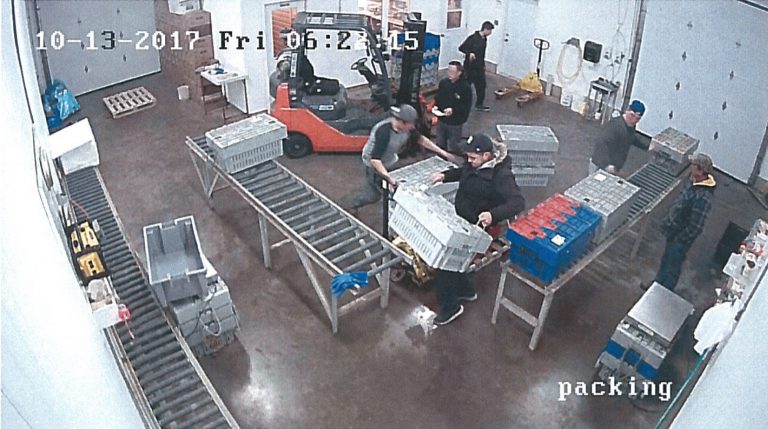 Nova Scotia lobster pound owner fined, sanctioned for buying Mi’kmaq ceremonial catch