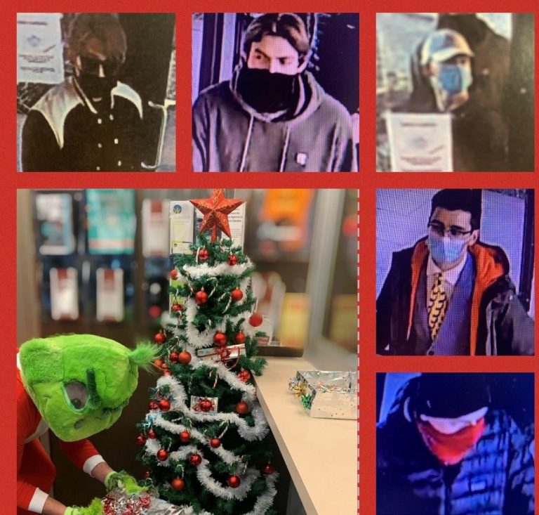 Police seek 5 men seen on video taking UBC Christmas tree and stuffing it into car