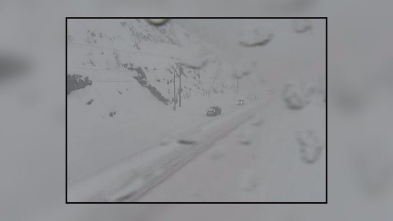 Chaos on the Coquihalla: Snowstorm, white-out conditions shut down major B.C. highway