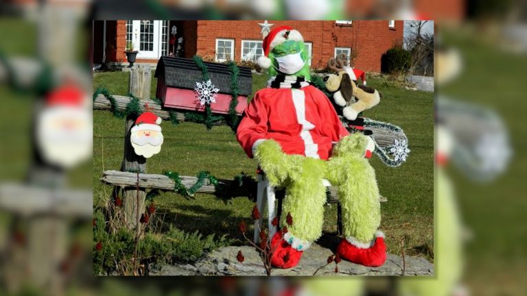 Bath, Ont. woman says real-life Grinch stole life-size one from her front yard