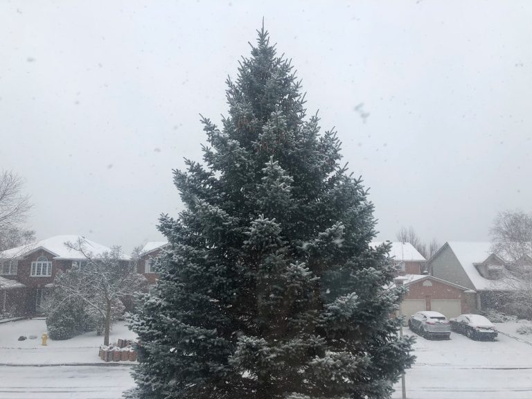 White Christmas possible as snow on the way for London area