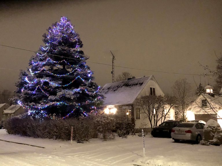 Help arrives for giant Dorval Christmas tree ruined by squirrels