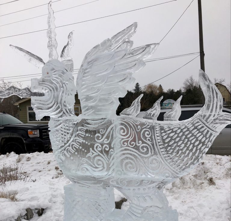 Coronavirus: 2021 PolarFest in Selwyn Township cancelled; Polar Plunge to go virtual