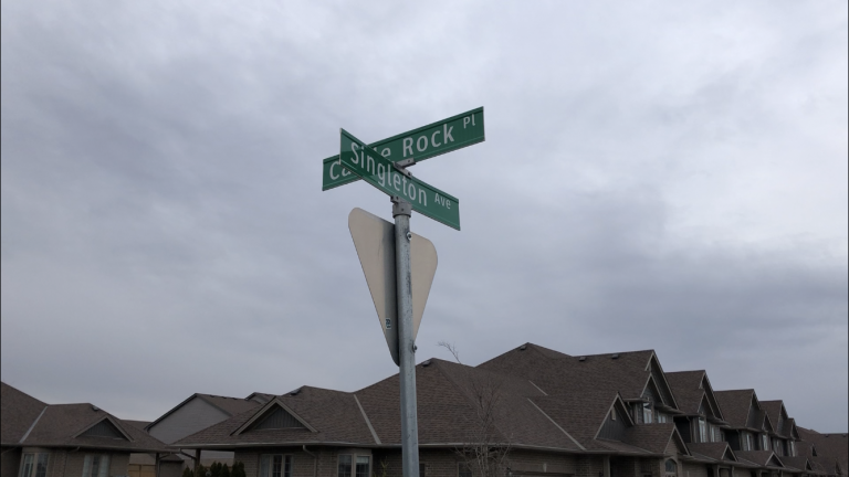Singleton Avenue gathering leaves 2 potentially facing $20K in fines: London police