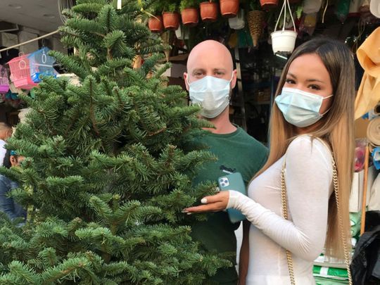 Watch: COVID-19 fails to dampen festive cheer  as sales of real Christmas trees in Dubai soar