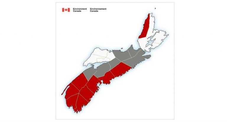 Most of Nova Scotia under ‘significant snowfall’ warning: Environment Canada