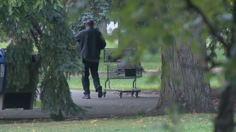 About 50 people expected to have died from opioid use in Lethbridge before 2020 is over: provincial data