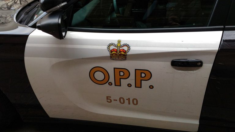 2 injured in late-night crash near Cayuga, Ont.
