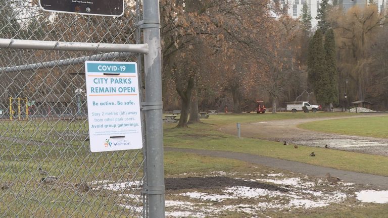 Vernon council supports allowing propane fires in Polson Park