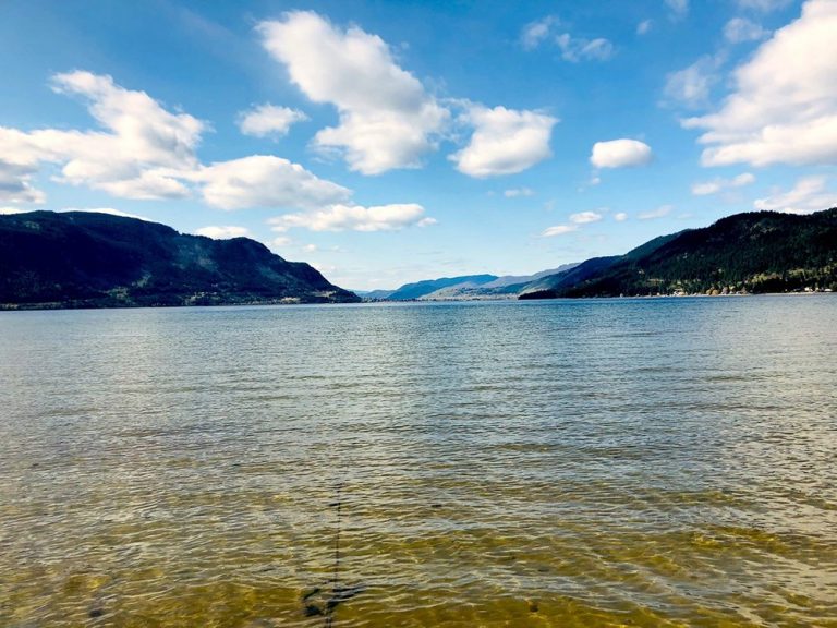 Okanagan Indian Band envisions new cultural school space; seeking community input