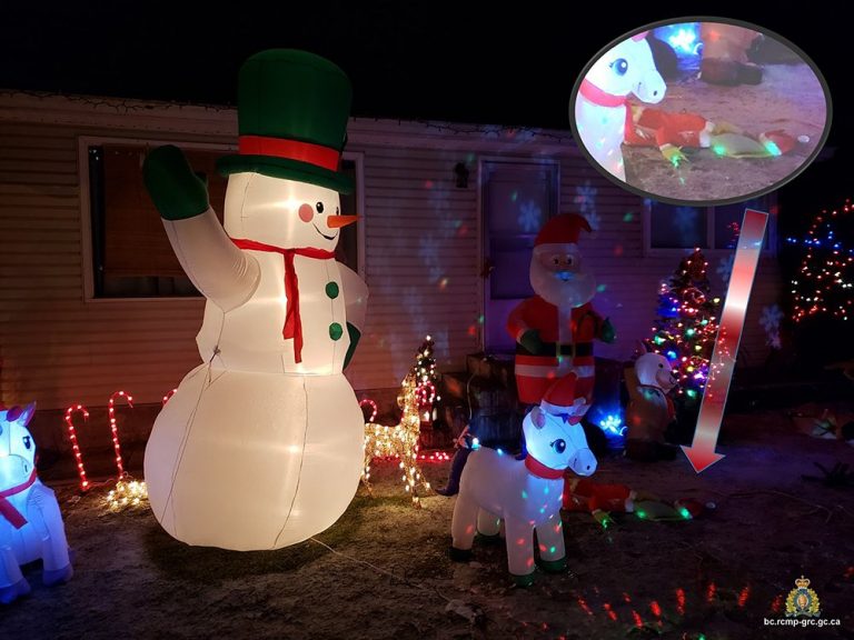 ‘Grinch-like’: Stolen Christmas lawn decorations in B.C. returned to rightful owners