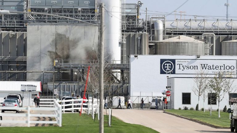 Fired Tyson boss says COVID office pool was a ‘morale boost’