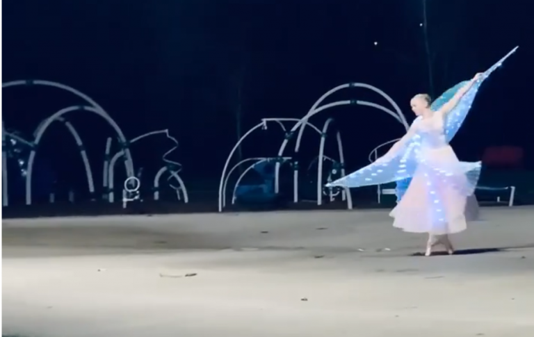 Pop-up ballet performance in Abbotsford, B.C. park aims to lighten COVID-19 gloom