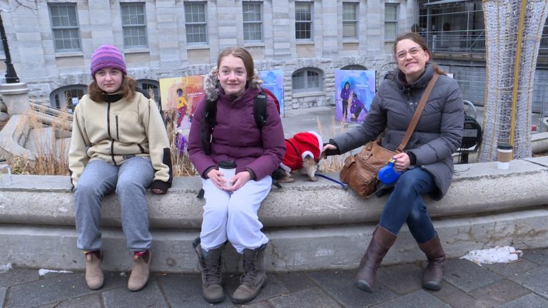 Coronavirus: Kingstonians react to Ford government’s announcement of 2nd COVID-19 lockdown