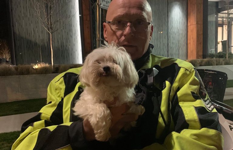 Vancouver pup returned safely after hitching ‘joyride’ on UPS truck