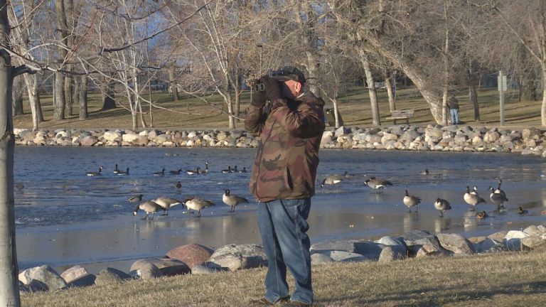 Annual Christmas Bird Count finds nearly 60 different species in and around Lethbridge
