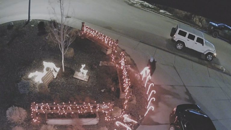 Security camera appears to show woman stealing Christmas decorations in West Kelowna