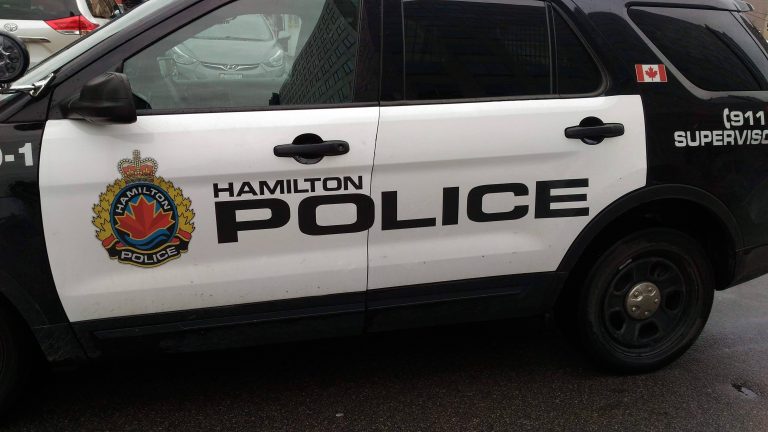 Woman assaulted while walking dogs in Hamilton Beach