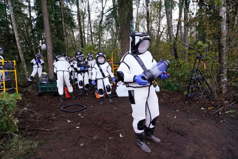 B.C. year in review 2020: Six news stories that were ‘too 2020’ for their own good