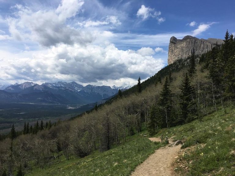 Political scientist calls Alberta government’s change to parks plan a major policy defeat