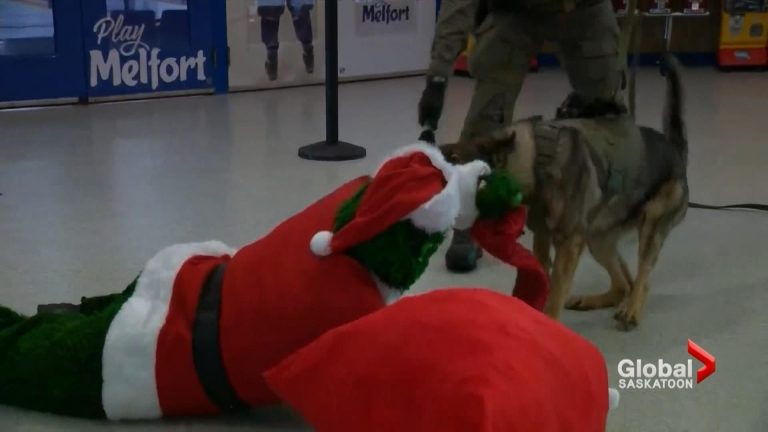 K-9 unit training with holiday theme