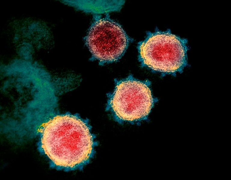 Waterloo adds 200 more COVID-19 cases over Christmas holidays