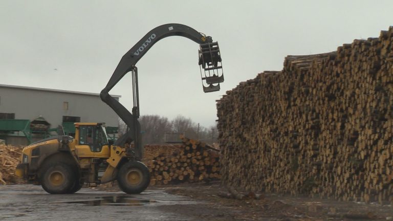 Canada to challenge U.S. softwood lumber export duties through World Trade Organization