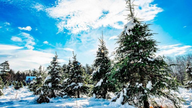 First snow hits major Northeast cities as new storm crosses country