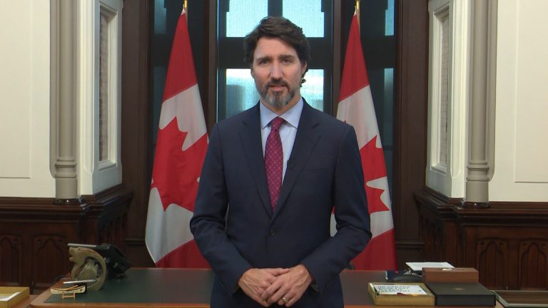 Recovery from coronavirus pandemic must include ‘ambitious’ climate change plan: Trudeau