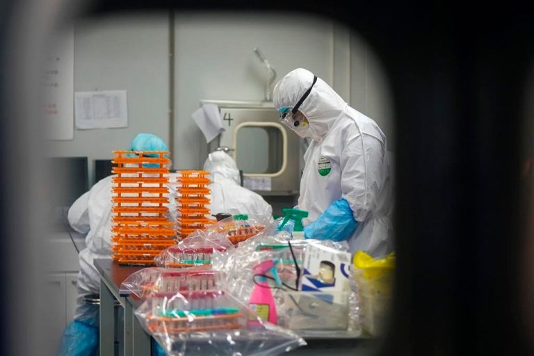 WHO says China will welcome team to probe coronavirus origins in January