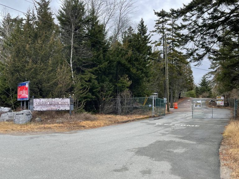 Cherry Brook Zoo in Saint John readies last dozen animals for rehoming