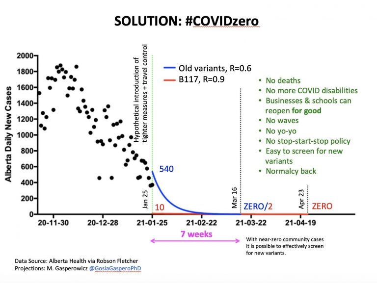 7 week lockdown required to eliminate new COVID-19 cases: Alberta biologist