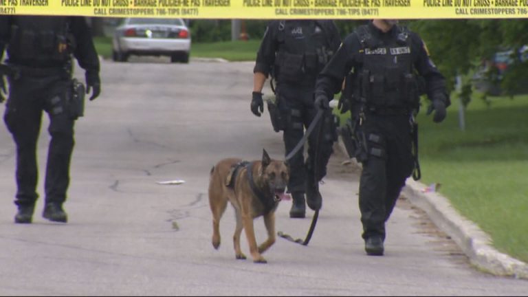 Police dogs help track drug suspects after car chase in Winnipeg