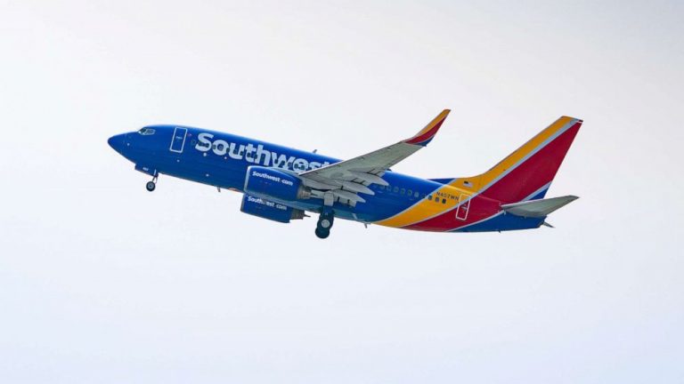 US airline execs push back on possibility of domestic COVID-19 testing requirement