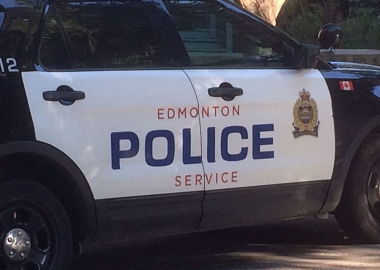 640 plants seized at largest grow-op in Edmonton since legalization of recreational pot