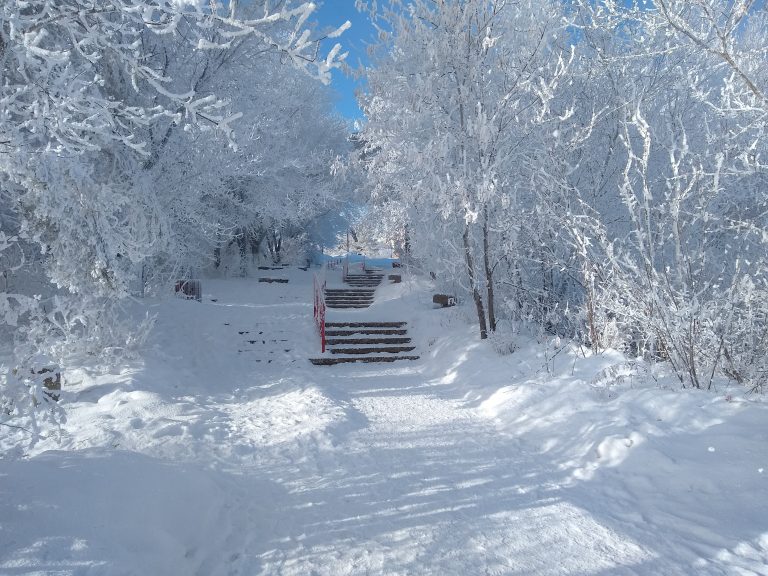 Your Saskatchewan photo of the day: February 2021