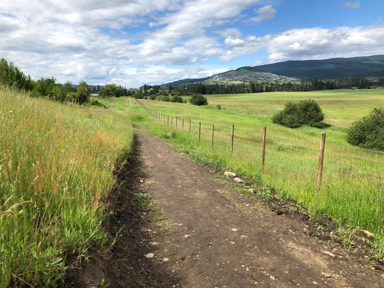 Historic North Okanagan ranchland could be used for agricultural education