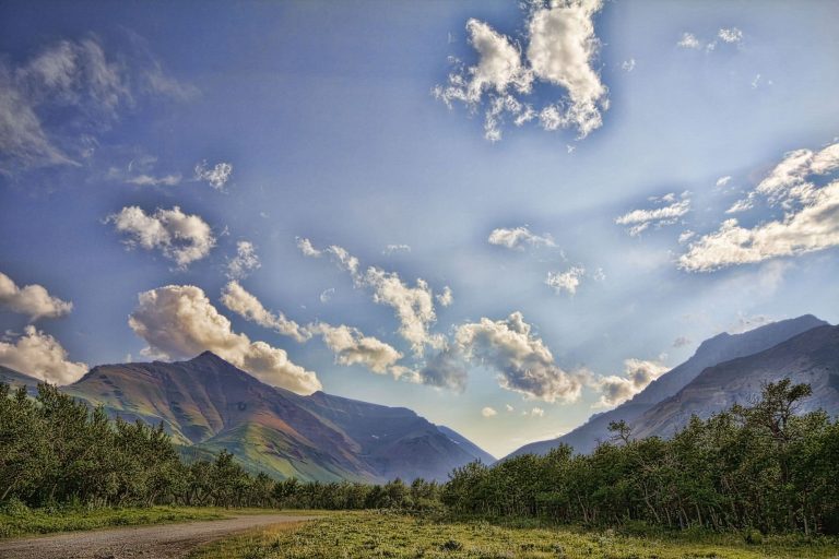 Critics question lack of details on Alberta government plan for parks management