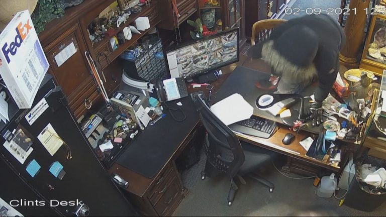 Edmonton antique store targeted by armed masked men in the middle of the day