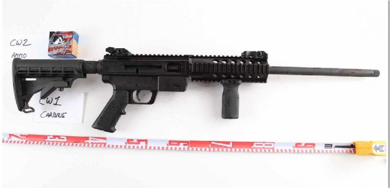 Ottawa police seize loaded rifle in weekend traffic stop