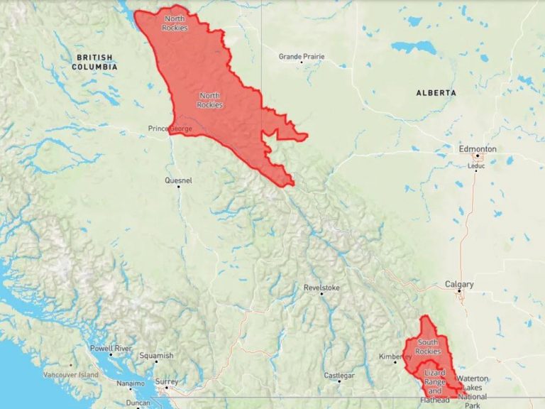 Avalanche warning issued for North and South Rockies, Waterton Lakes National Park