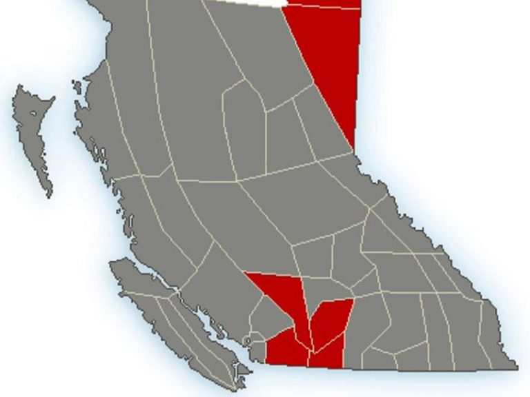 Cold weather ahead: Arctic air in B.C. forecast, southbound blast expected to blanket province
