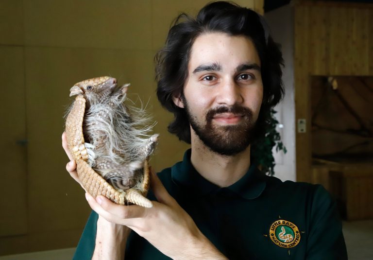 ‘I’ve been pushed to my absolute breaking point’: Canadian zoos struggle to survive